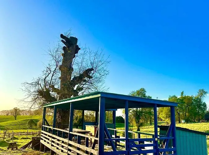Cabanas Alto Las Torres